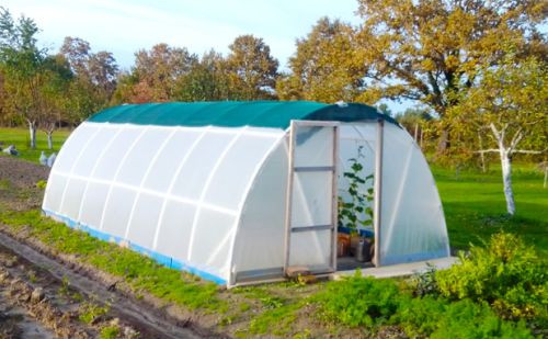 Jesenska sezona plastenika: Pripremite svoj vrt za hladnije dane