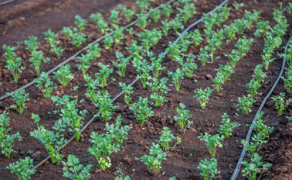 Sustavi za navodnjavanje