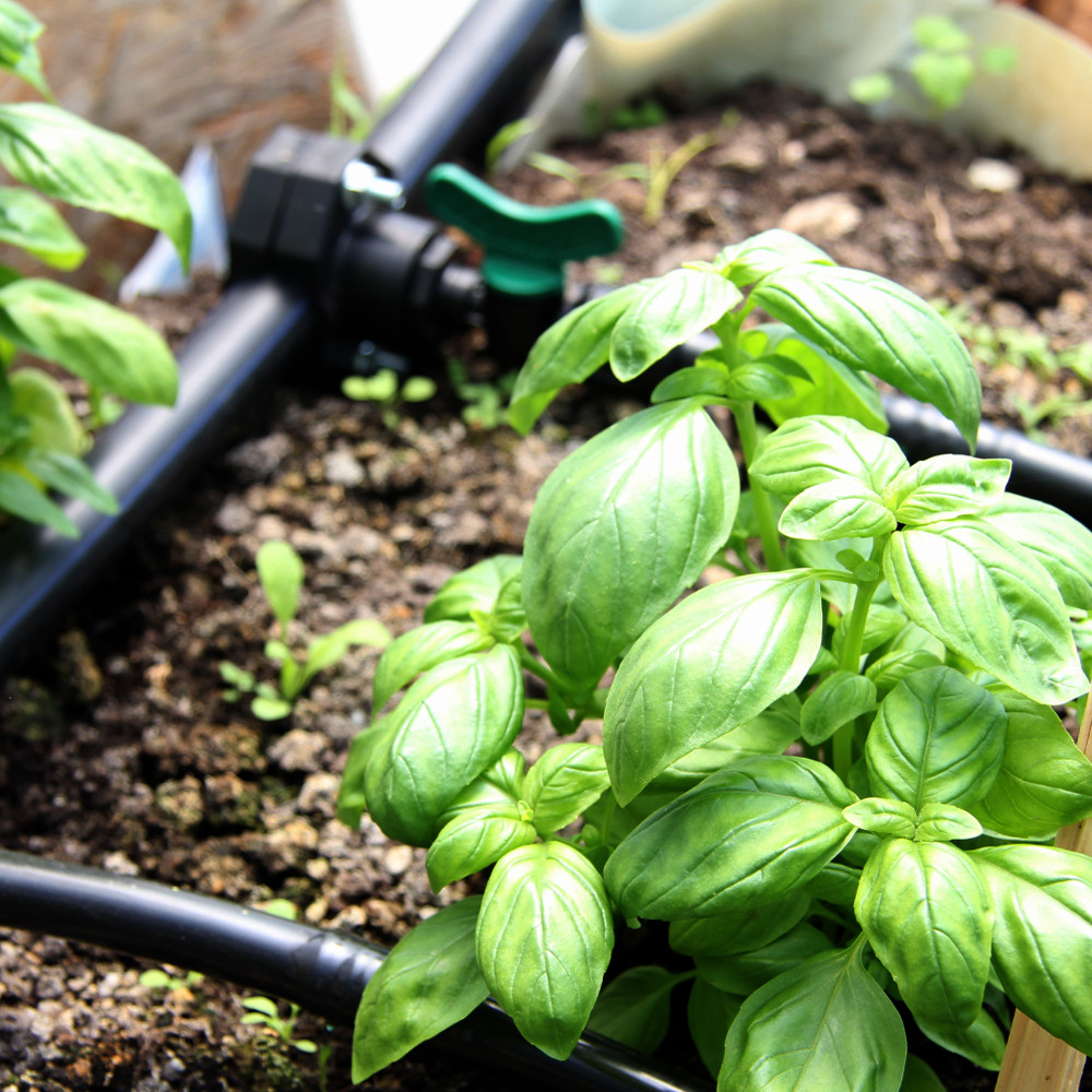 Sustavi za navodnjavanje