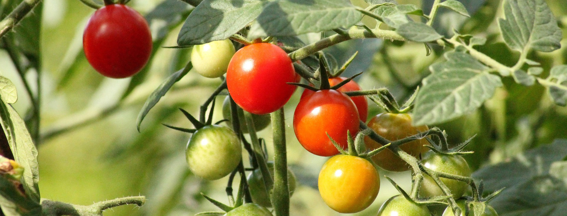 Jer svaka kap je važna!